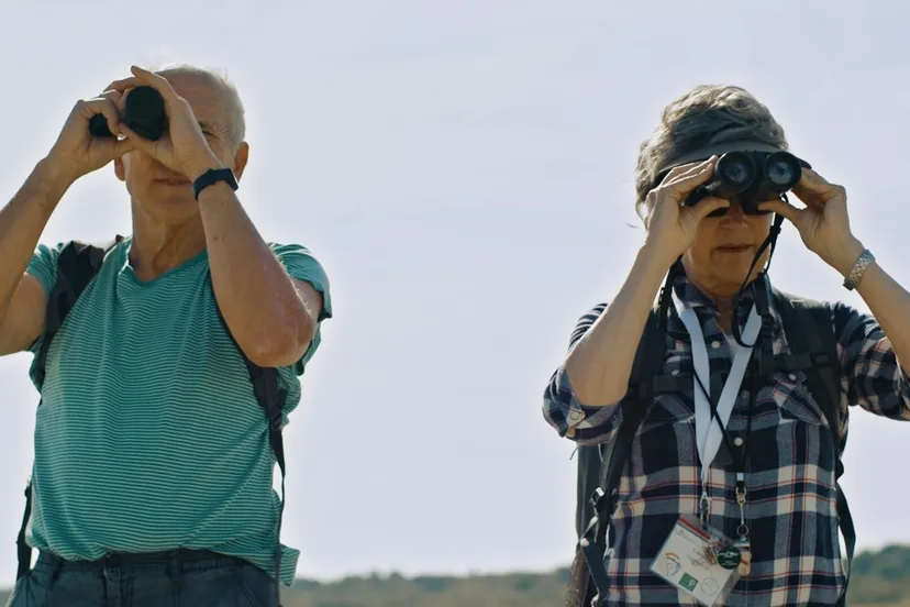 schaarsbergenclip image001