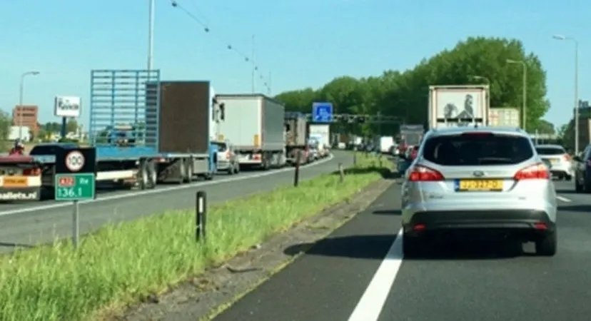 groene metropol regio arnhem nijmegena12 file a12