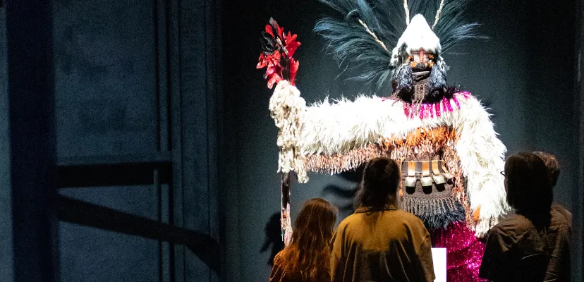 dans dans revolutie50