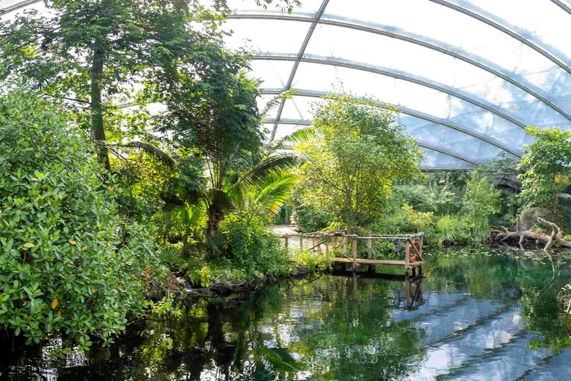 panorama burgers mangrove 1 foto mira meijer