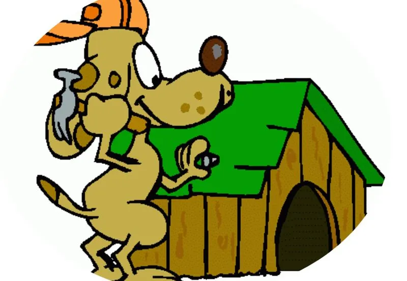 dierentehuis arnhem nieuwbouw dierentehuis arnhem