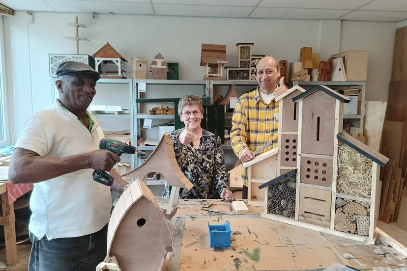 swoa timmerwerkplaats