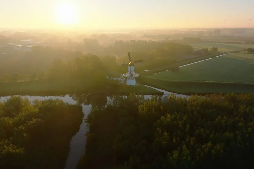 betuwe molendevlinderdeil1