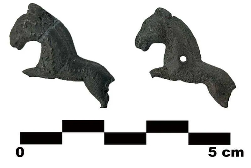 vondst van de maand gemeente arnhem