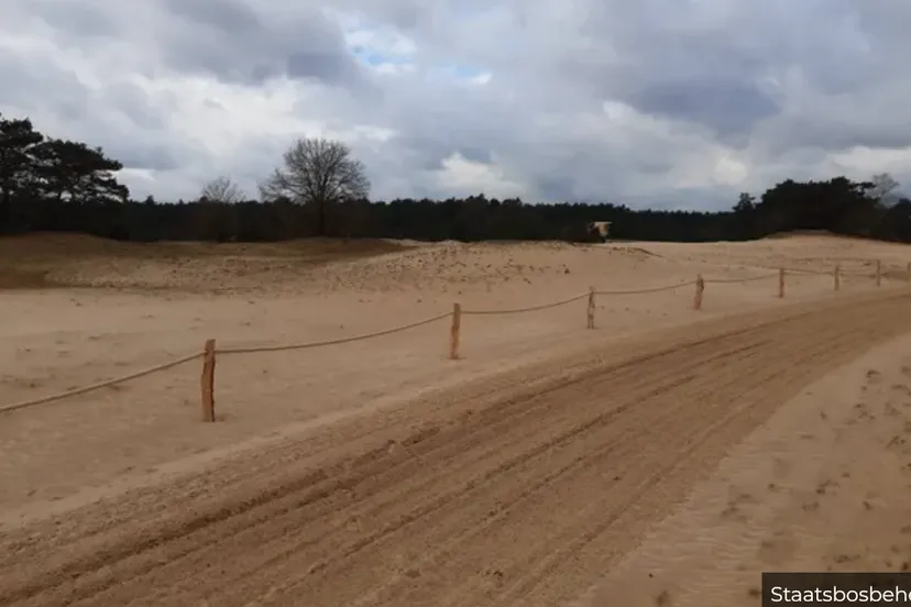 kootwijkerzandtijdelijke afsluiting kootwijkerzand wegens broedseizoen vogels