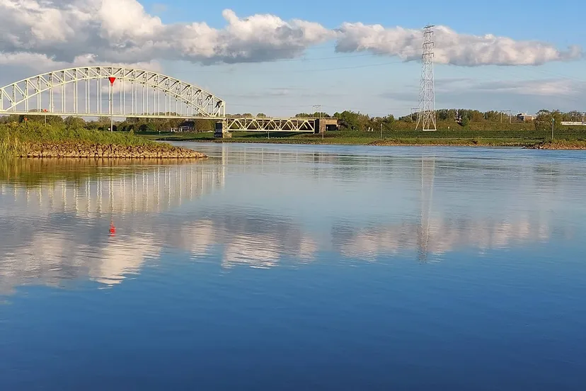 levend verlies 2 lvrjpg