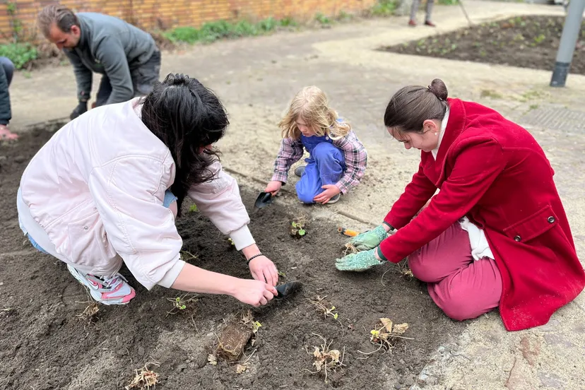 vergroening wijken c gemeente arnhem