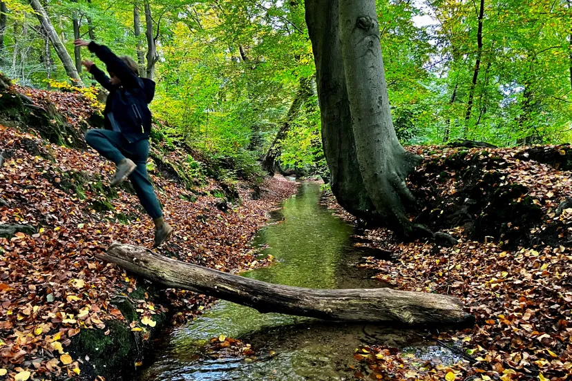 water natuurlijkbeekhuizenseabeek waterwandeling 2 mei 2025 water natuurlijk