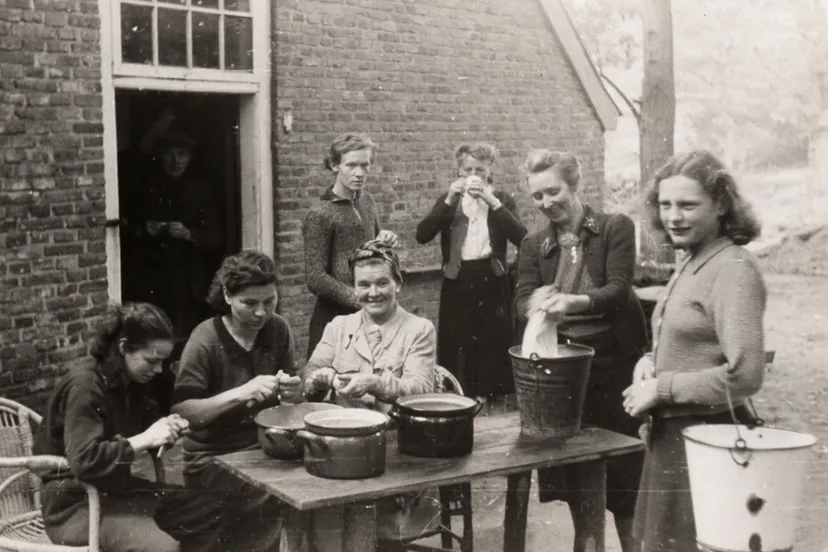 wo2 in olmjpg jpeg afbeelding 900 580 pixels