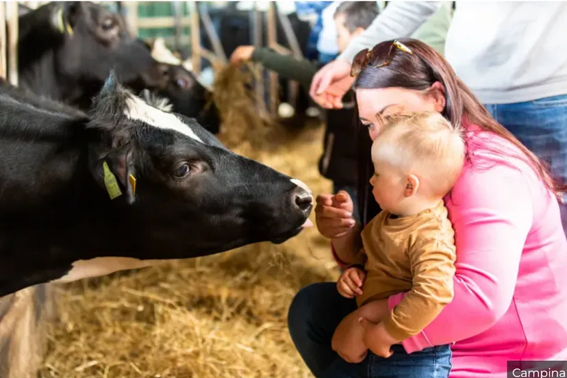 open boerderijdagen op 30 mei en 9 juni