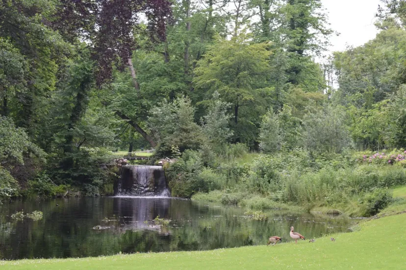 sonsbeekarnhem nieuws