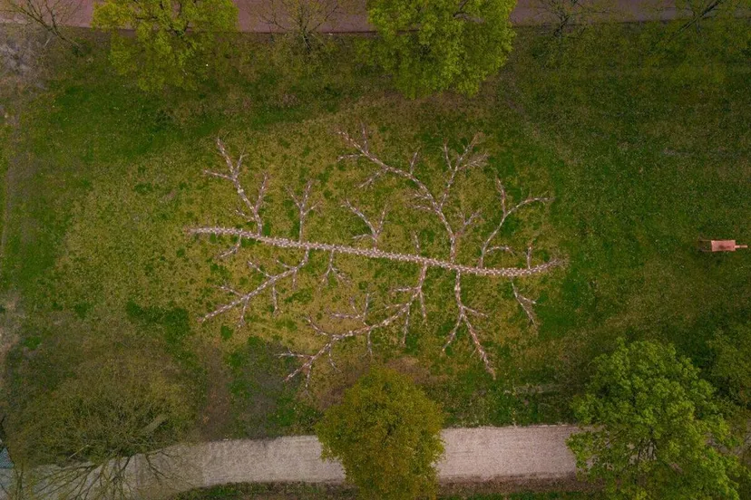 kunstwerkjennifer teemuseumpark 1422x800