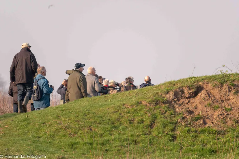 natuurwandelingherman hendriks1