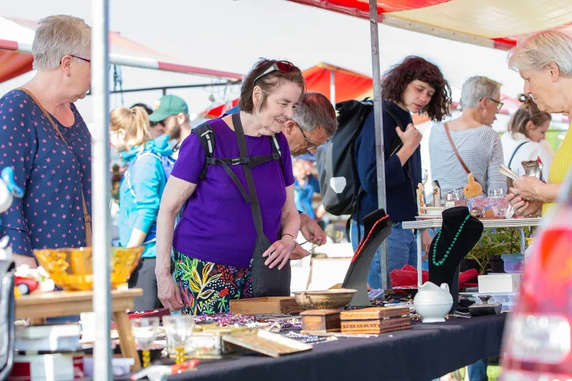 foto Elst park Amimo