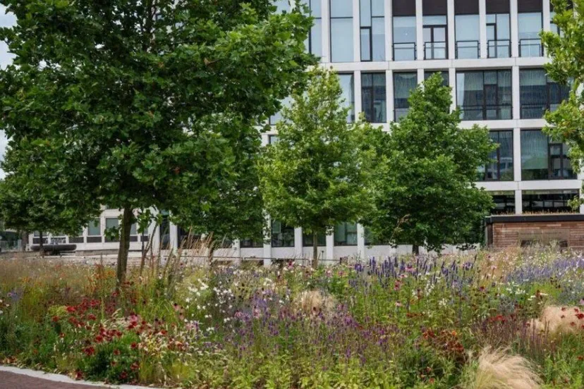 koelste binnenstad van Nederland - Gemeente Arnhem