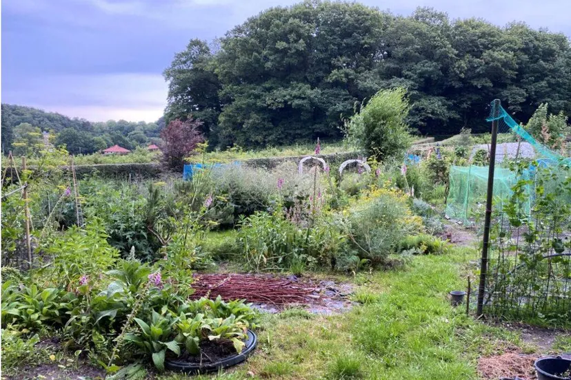 gezonde duurzame voedselomgeving - Gemeente Arnhem
