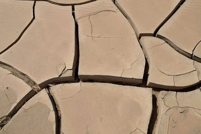 klimaatschade.Arnhem start als eerste gemeente met loket voor klimaatschade - Gemeente Arnhem