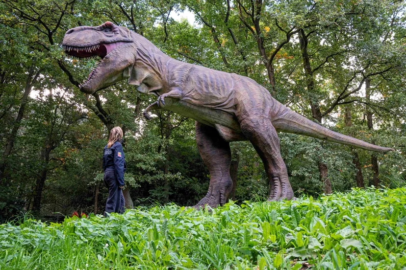 Plaatsing-Tyrannosaurus-rex-5