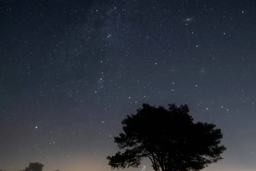 Winter  foto Jeroen Linnenkamp lr