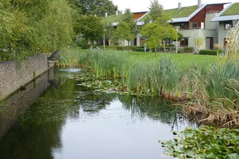 klimaat.Arnhem wapent zich ook de komende jaren tegen het veranderende klimaat - Gemeente Arnhem