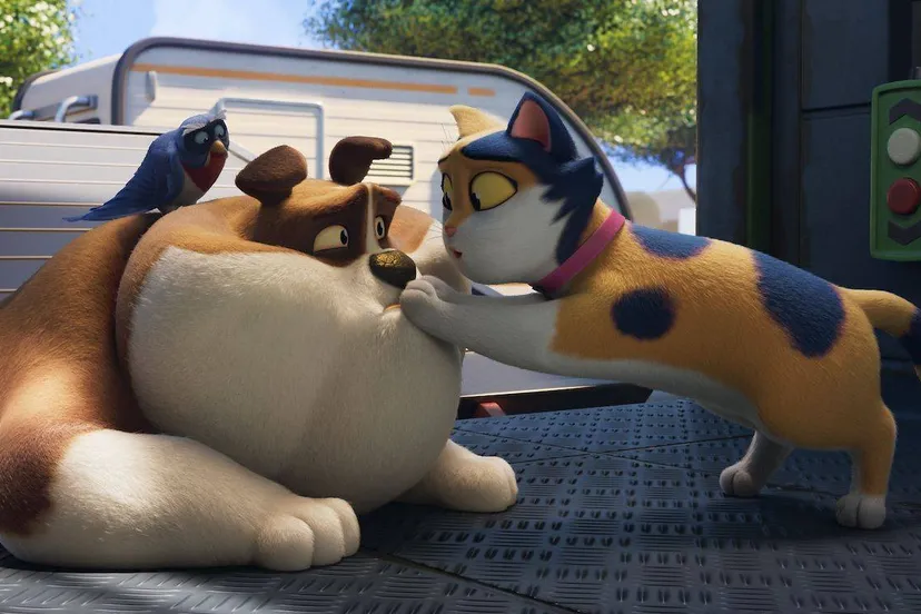 Miss-Moxy_st_2_jpg_sd-low