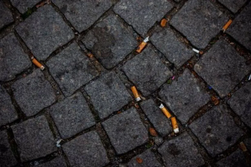 peukenafval tegen te gaan - Gemeente Arnhem