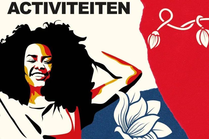 Politiek Debat .2. Week tegen Racisme.Comite 30 juni - 1 juli
