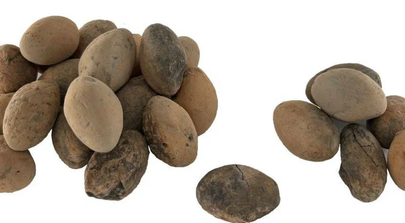 Vondst van de maand.Slingerkogels uit de 1ste eeuw na Chr. - Gemeente Arnhem