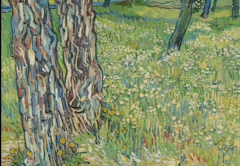 Kröller-Müller.Vincent van Gogh, Boomstammen in het gras, eind april 1890