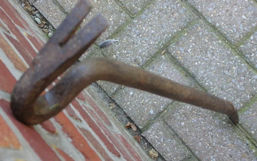 1024px detailvoetkoevoet cc by sa 30 lander 915x518 wikipedia lander