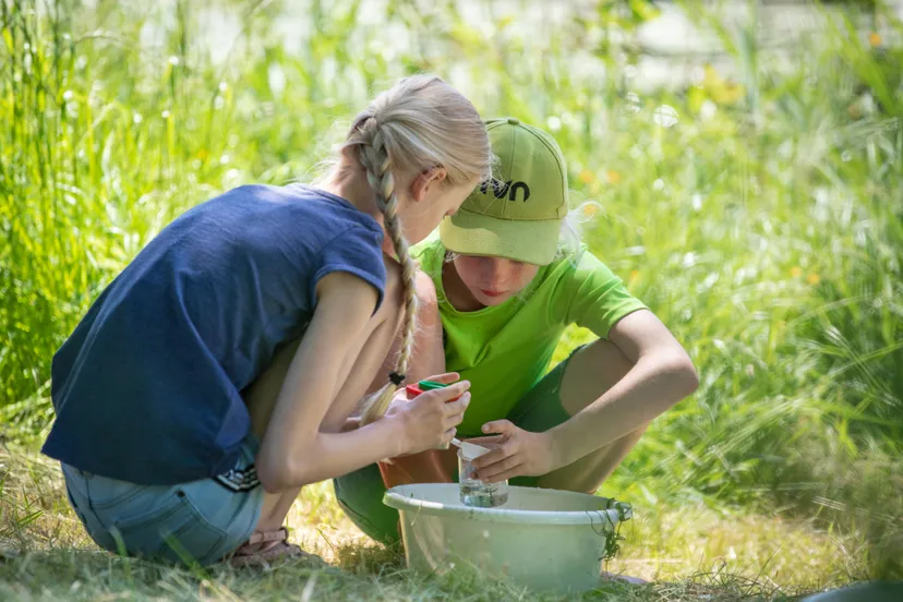 1584 9938e6f8c374713f363cdb514f46e2de ivn