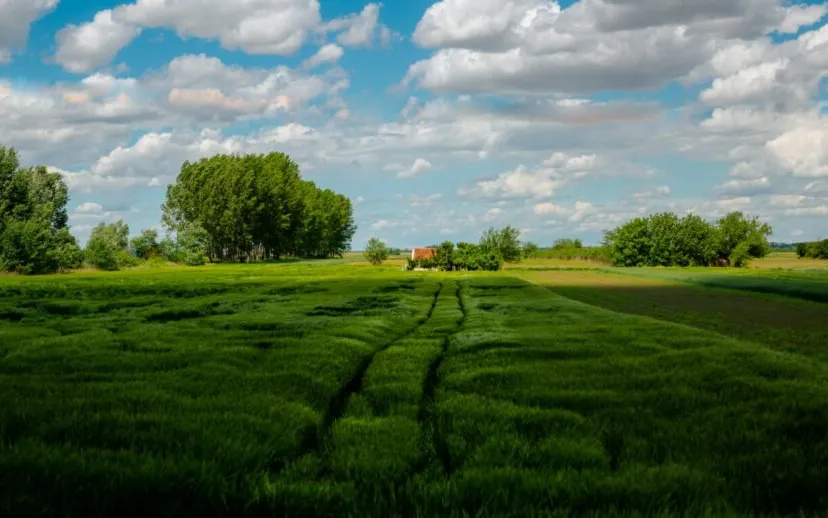 2021 07 23 08 29 15 1350x900 bewolking zon 915x518 1