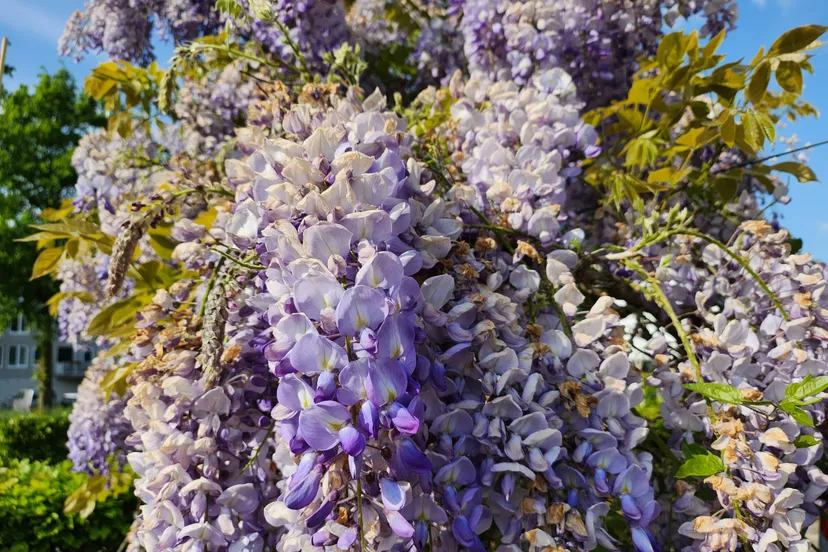 20230519 172301 scaled