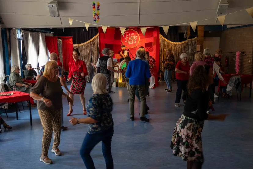 afbeelding 2 het danspaleis