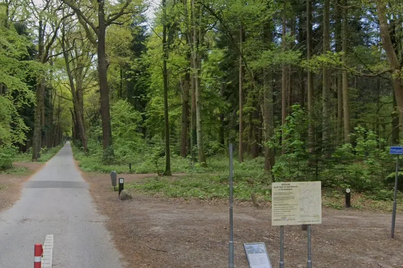 asserbos rode heklaan assen