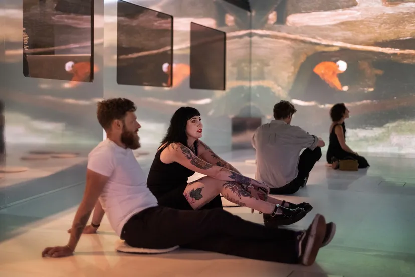 de tentoonstelling op reis met vincent van gogh in drenthe foto sake elzinga1