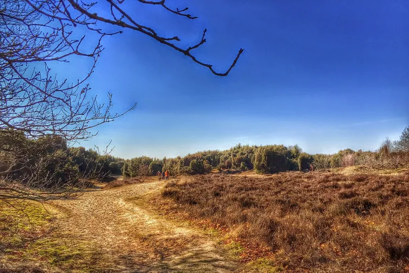 drenthe 683548 1280 0805edwin via pixabay