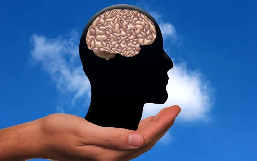 hersenen 915x518 1