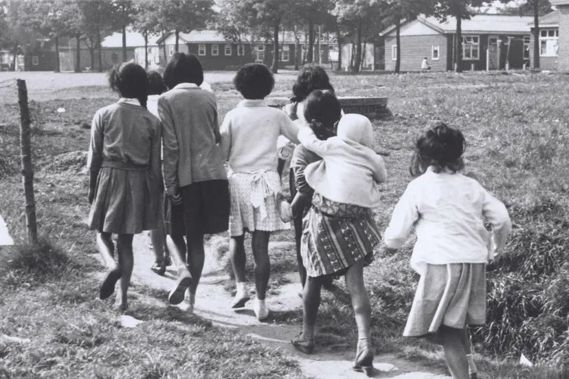 schattenberg mo9lukkers scaled