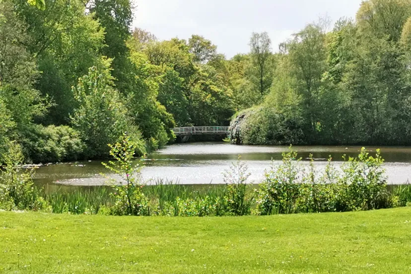 vijver stadspark weer zon scaled