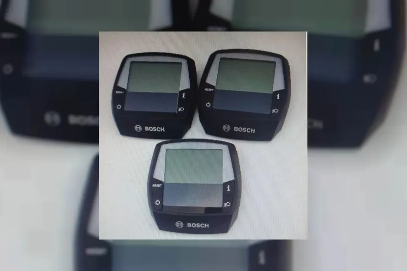 293939248 416739143813936 4929475363850790982 n