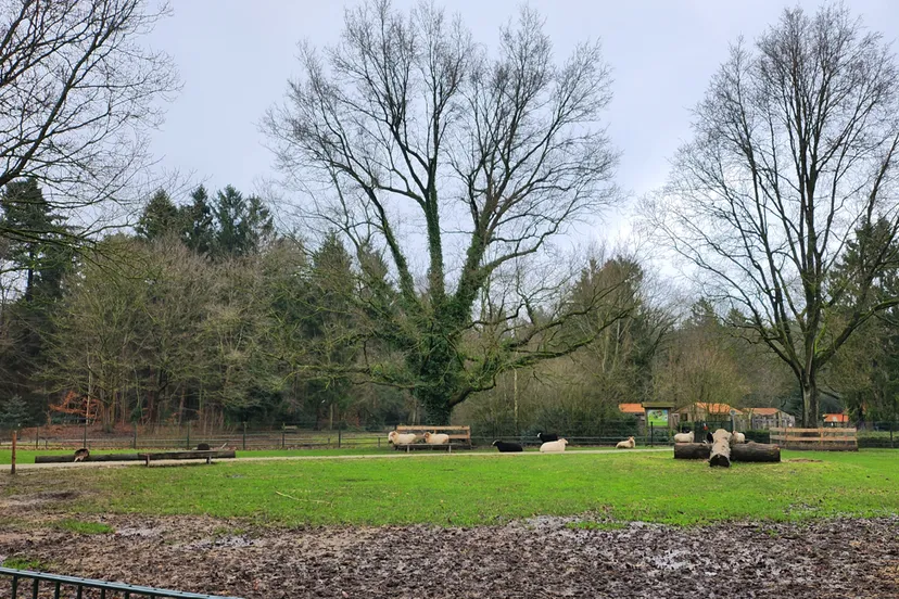 duurzaamheidscentrum