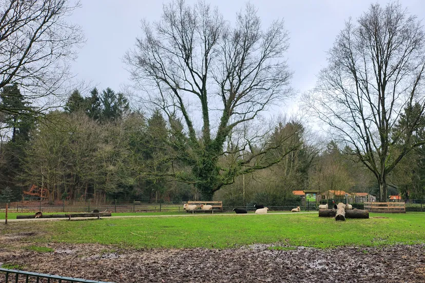 duurzaamheidscentrum