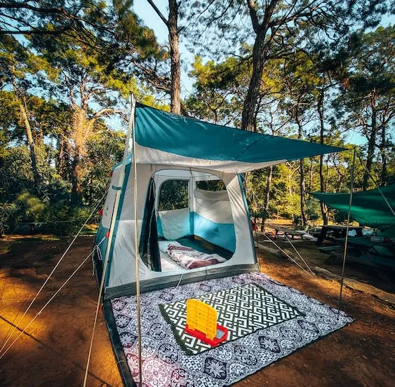 free photo of natuur bos bomen park camping kamperen