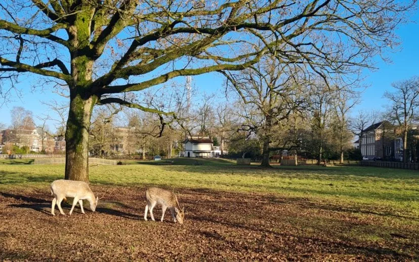 hertenkamp