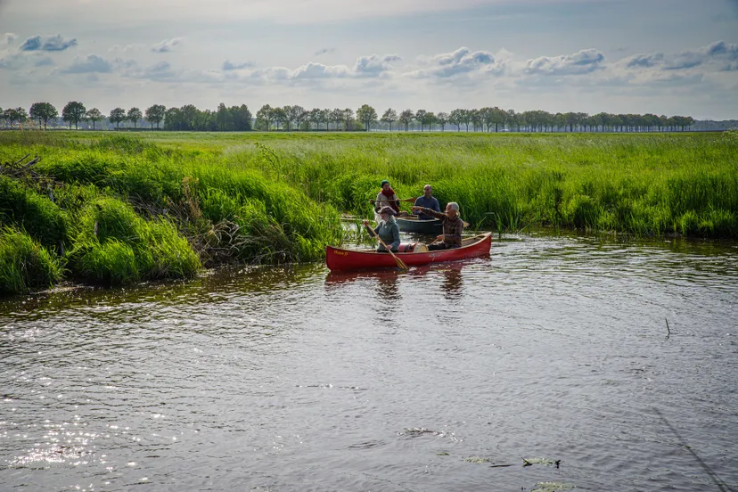 in het wilde weg 4589 1