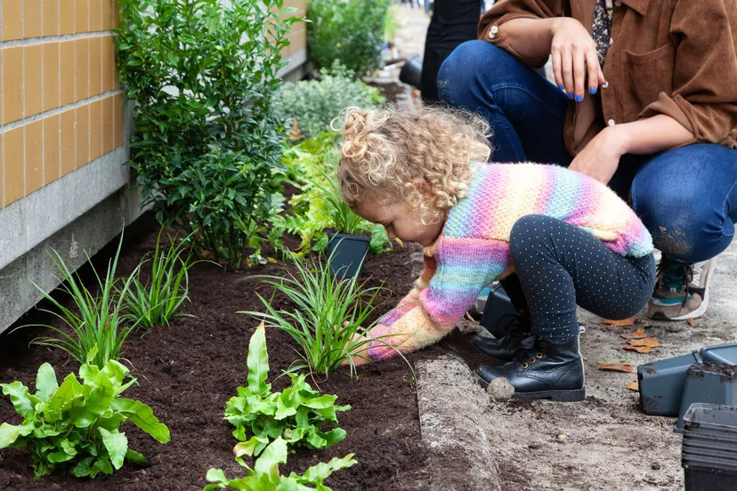 m2020nktegelwippen1000geveltuinenfotograafsjonheijenga001