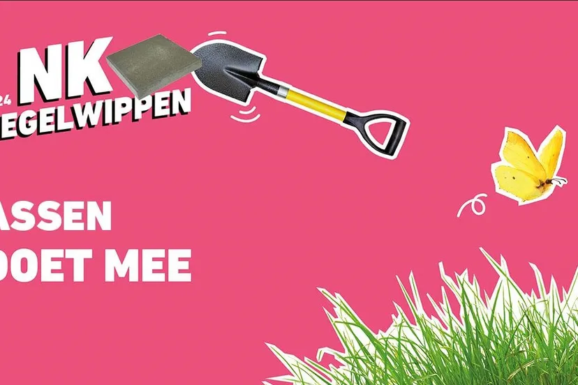 nk tegelwippen assen