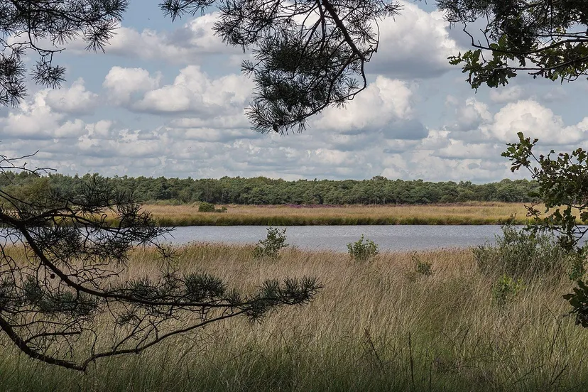 nationaal park dwingelderveld 20 08 2019 actm 11 cc by sa 40 wikipedia commons anges monkelbaan