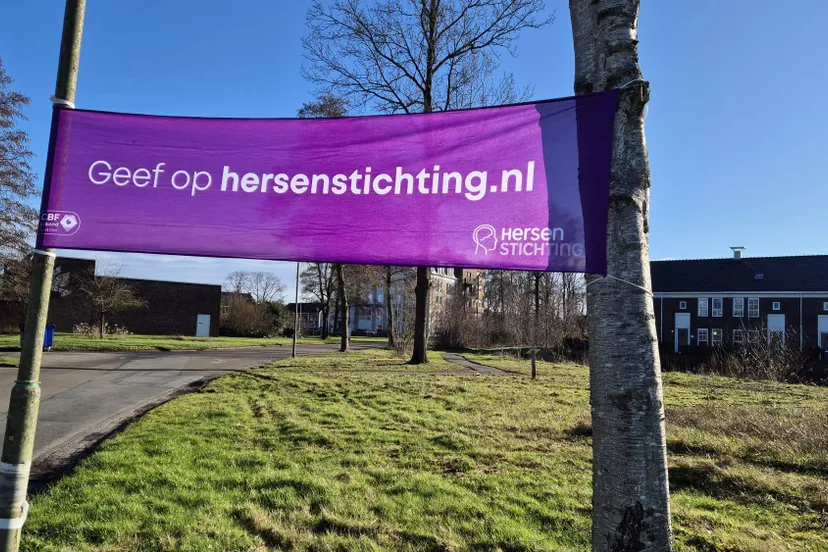 afbeelding van whatsapp op 2025 01 26 om 123334 b1f00a1d